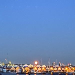 Meet your Posher, Diego